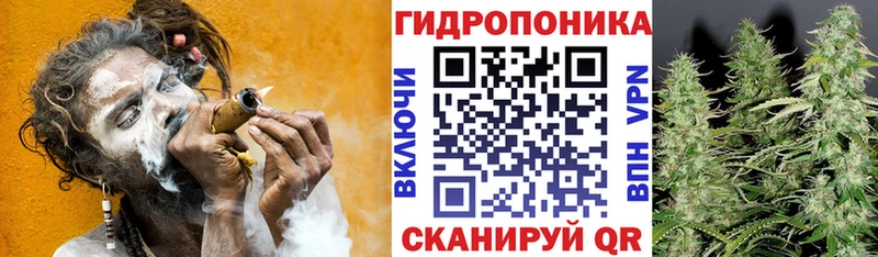 Каннабис конопля  дарк нет какой сайт  Орёл  цены наркотик 